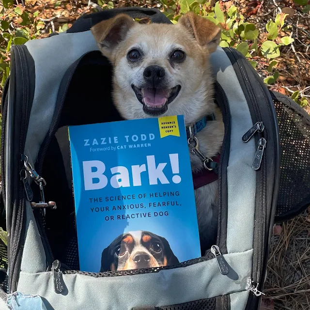 A very cute little dog, Pancake, sits in a rucksack, looking happy, behind a copy of the book Bark! The Science of Helping Your Anxious, Fearful, or Reactive Dog