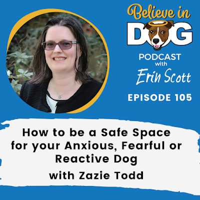 How to be a safe space for your dog on the flyer for the Believe in Dog podcast with Zazie Todd