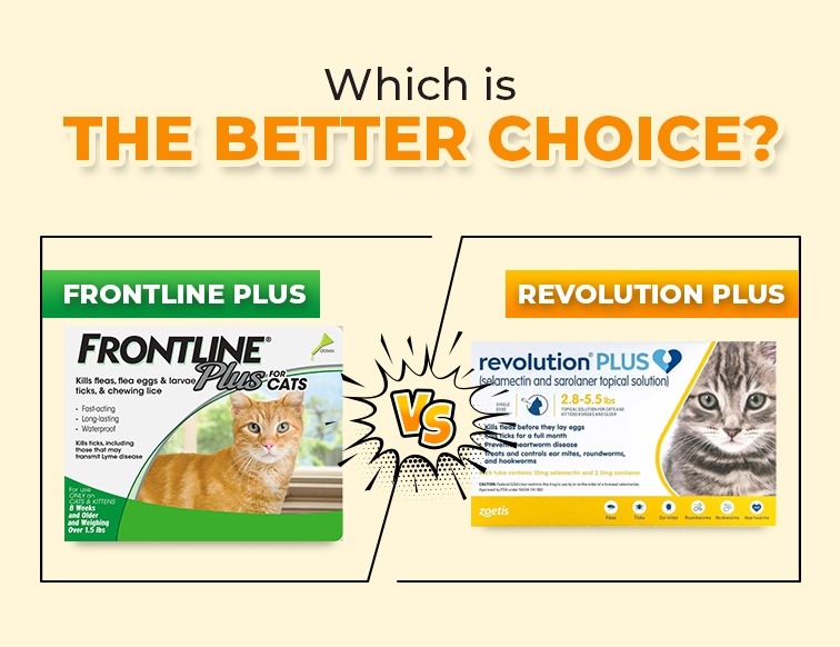 Frontline Plus vs. Revolution Plus - Which is the Better Choice