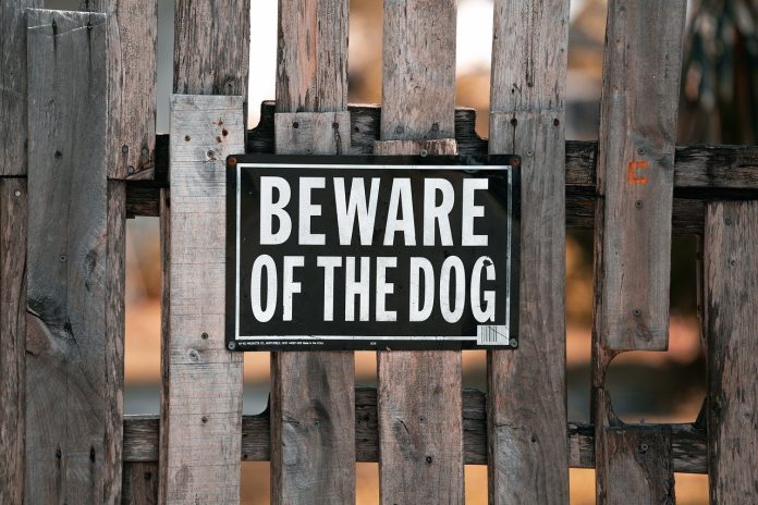 beware of the dog